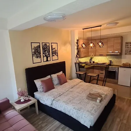 Galata Apartment *